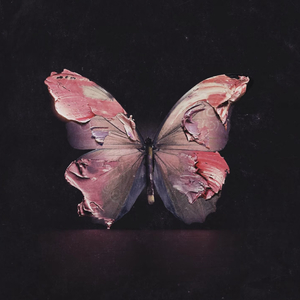 搀扶【温柔女声】