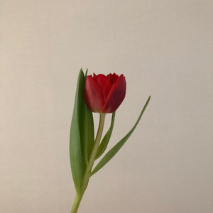 네 마음은 왜 내 마음 같지 않을까