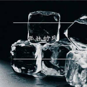 孤独的风