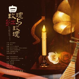 白玫瑰与红玫瑰（翻自 溱桑）