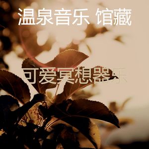 抚慰的回春回忆