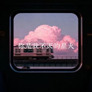 你是我不灭的星光