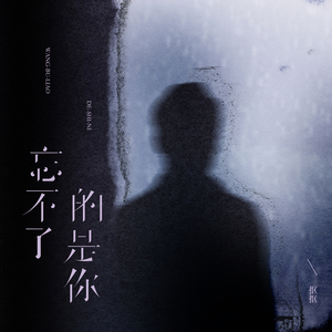 忘不了的是你 (弹唱版)