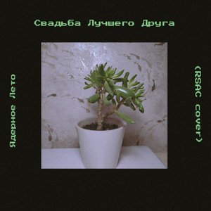 Свадьба лучшего друга