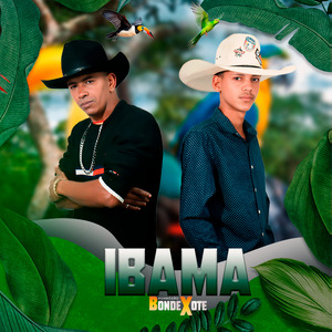 Ibama