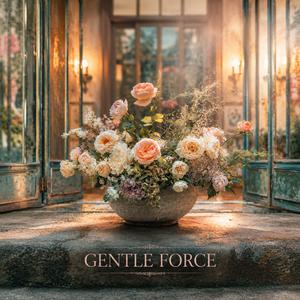 Gentle Force