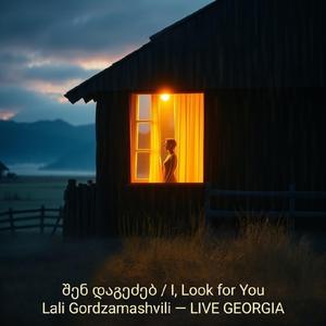 შენ დაგეძებ/i'Look for You