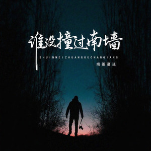 谁没撞过南墙
