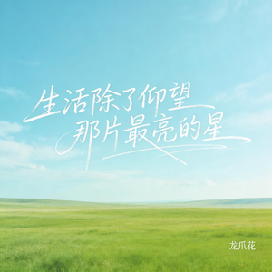 生活除了仰望那片最亮的星