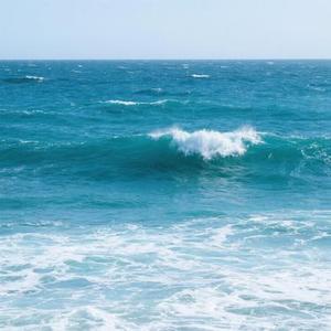 白日的延迟退休申诉