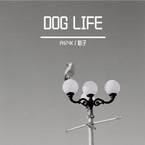 DOG LIFE（狗生）