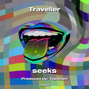 Traveller