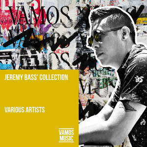 Haveji (Jeremy Bass & Branchie Remix)