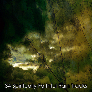 有夜间天气的天赋