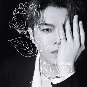 Never 再也不能和你见面