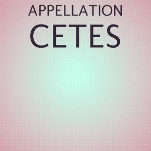 Appellation Cetes