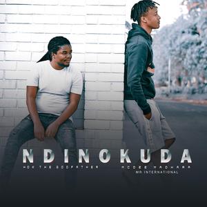 NDINOKUDA (Radio edit)