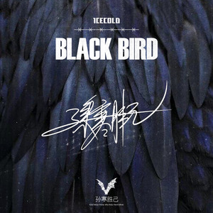 黑鸟(Black bird)