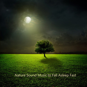 별 헤는 밤 (풀벌레소리)