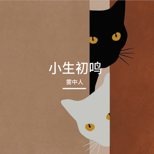 微光下的秘密  伴奏