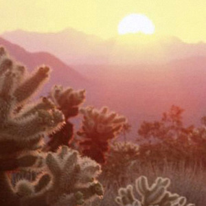 青春的尽头从来不是十八岁