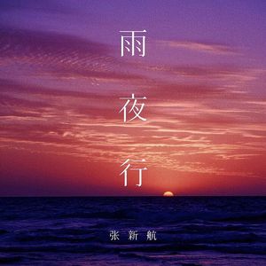 修改音量_雨夜行