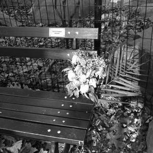 Inherit (Wires Like Maggots)