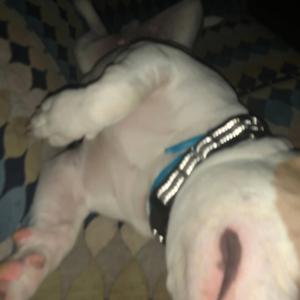 6:41 AM (feat. 2offical_ty)