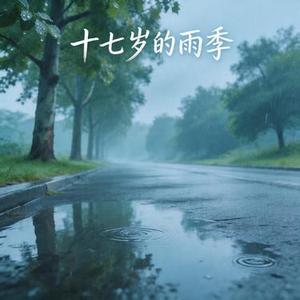 十七岁的雨季
