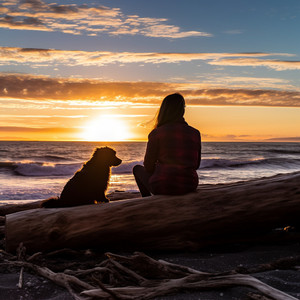 Olas Antiestres Para Perritos
