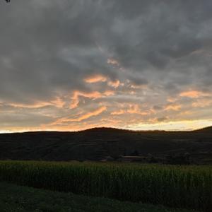 这世界那么多人 （吉他翻唱）