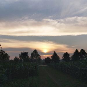 天真的橡皮DJ黑桃A（抖音热门完整版）人生啊能不能放过我这一次