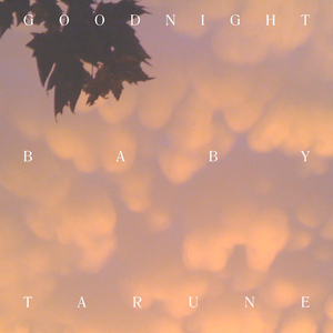 Goodnight Baby