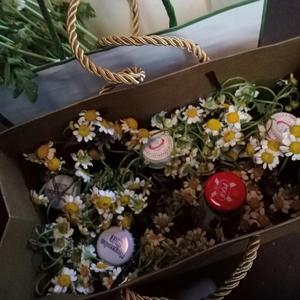 蜜蜂(Demo) cover 万玲琳