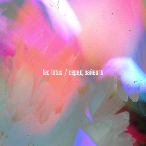 Серед зайвого