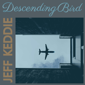 Descending Bird
