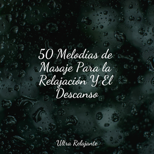 Hojas Revoloteando Hacia Abajo