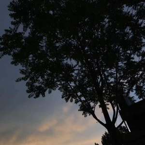 遥不可及的你_叨小米