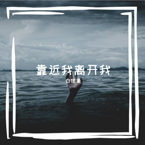 等花开等风起