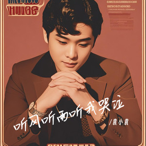 听风听雨听我哭泣 (DJ默涵版)