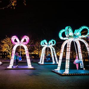 I Went to New Year in Washington