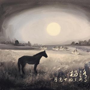 月光下的黑母马
