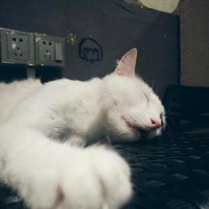 大孩子 cover 黄觉