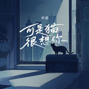 可是猫很想你