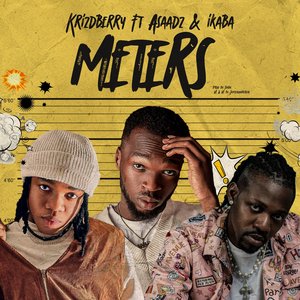 Meters