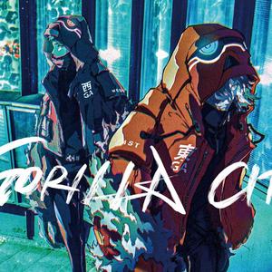 Gorilla Anthem（Cover Gorilla Attack）