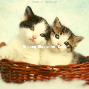Chilled (Relaxing Cats)