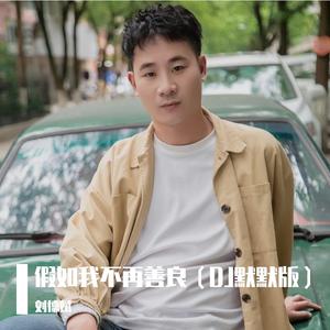 假如我不再善良（DJ默默版） 伴奏