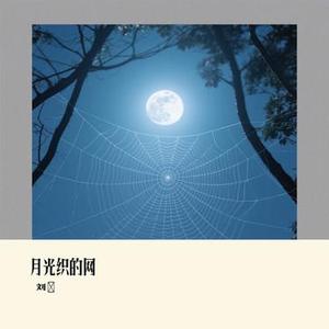月光织的网