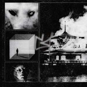 Amorphous